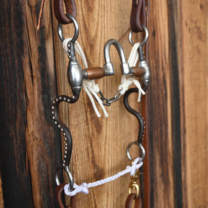 Correction Bridle Rig w/Single Ear Headstall