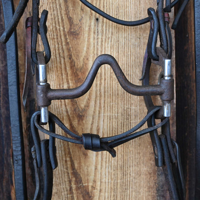 Jim Edwards D-Ring Solid Port Bridle Rig w/Browband Headstall