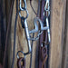 Bill Freeman Flat Port Bit w/a Game Changer by Bar-o-Abit Tack - Rigs Bill Freeman