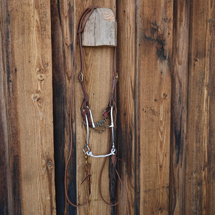 Chain Bridle Rig w/Single Ear Headstall