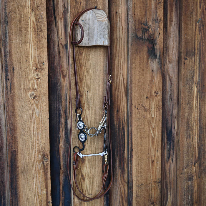 Ported Chain Bridle Rig w/Single Ear Headstall