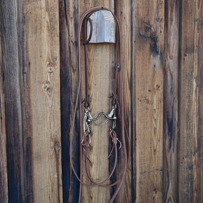 Solid Port Bridle Rig w/Single Ear Headstall