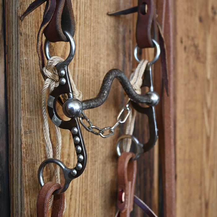 Solid Port Bridle Rig w/Single Ear Headstall Sale Barn misc