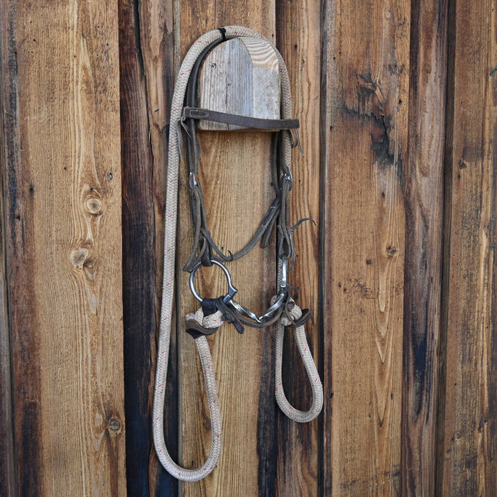 Professional's Choice D-Ring Slow Twist Snaffle Bridle Rig w/Browband Headstall