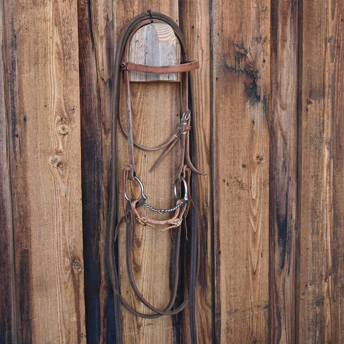 Professional's Choice D-Ring Twisted Wire Snaffle Bridle Rig w/Browband Headstall