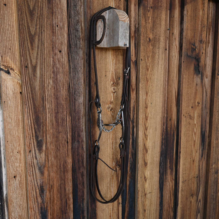 Jesse Morgan Ported Chain Bridle Rig w/Dennis Moreland Leather Tack - Rigs Daryl Davis