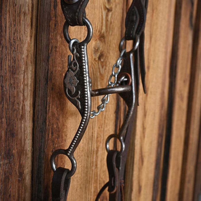 Jesse Morgan Ported Chain Bridle Rig w/Dennis Moreland Leather Tack - Rigs Daryl Davis