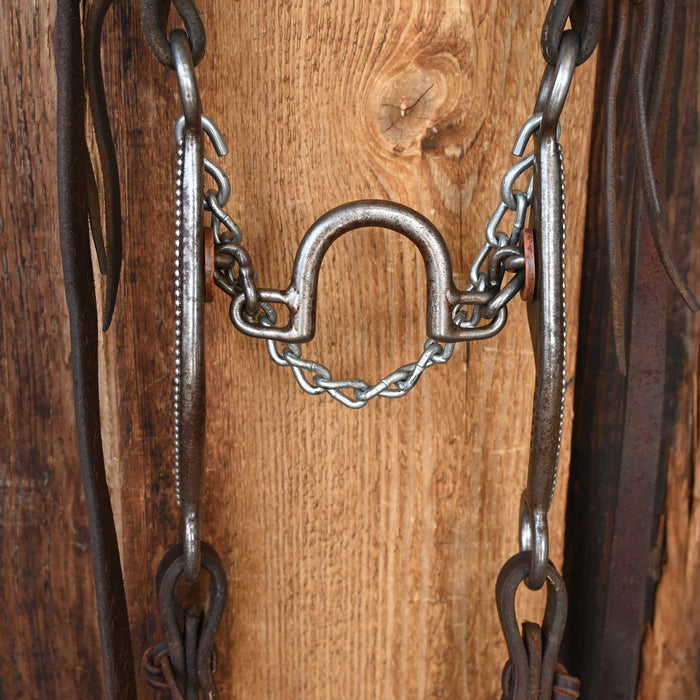 Jesse Morgan Ported Chain Bridle Rig w/Dennis Moreland Leather Tack - Rigs Daryl Davis