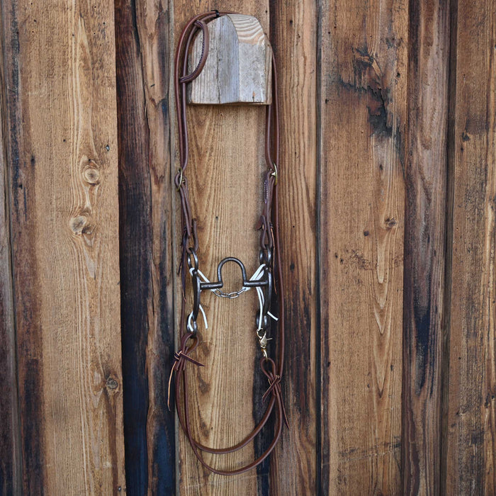 Solid Port Bridle Rig w/Single Ear Headstall