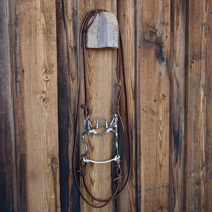 Josh Ownbey Correction Bridle Rig w/All New Leather