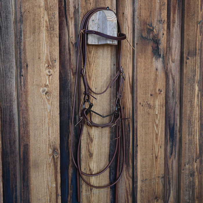 Nolan Hansen D-Ring Square Snaffle Bridle Rig w/Browband Headstall