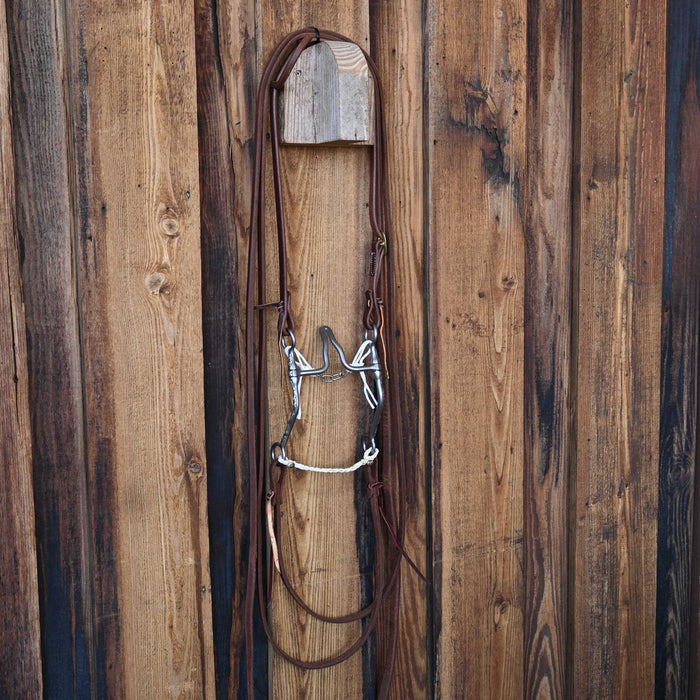 Josh Ownbey Cathedral Bridle Rig w/All New Leather