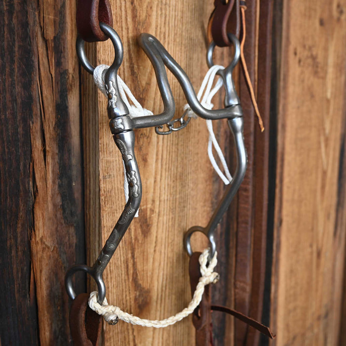 Josh Ownbey Cathedral Bridle Rig w/All New Leather