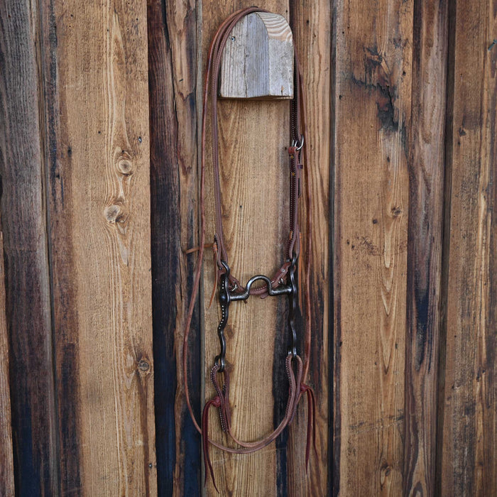 "SP" Solid Port Bridle Rig w/All New Leather