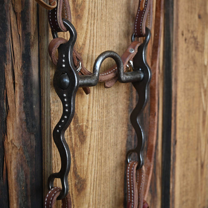 "SP" Solid Port Bridle Rig w/All New Leather