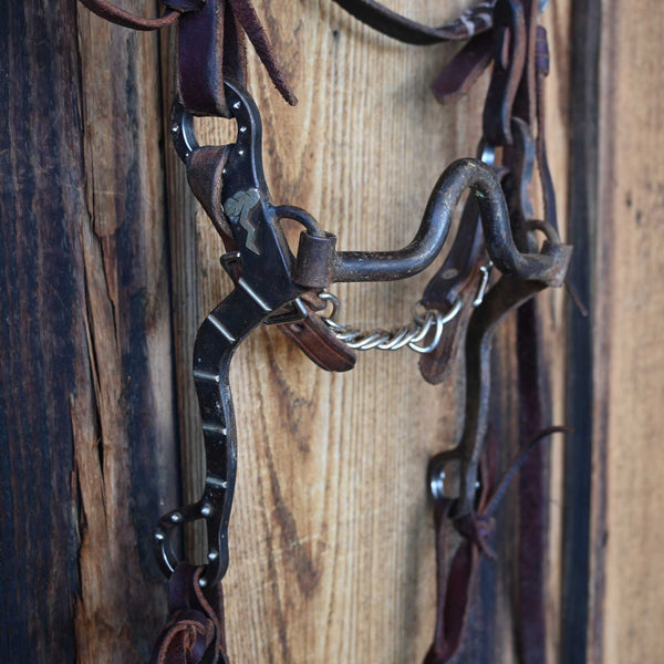 Headstalls & Rigs