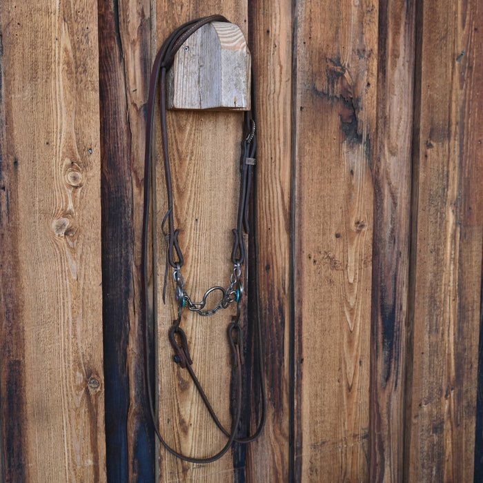 Petska Ported Chain Bridle Rig w/Single Ear Headstall