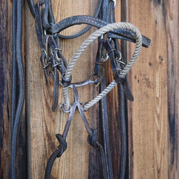 Nosebands & Tie Downs