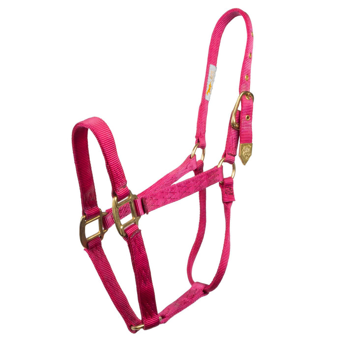 Hamilton 1" Deluxe Nylon Halter Tack - Halters & Leads Hamilton Average Raspberry