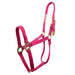 Hamilton 1" Deluxe Nylon Halter Tack - Halters & Leads Hamilton Average Raspberry