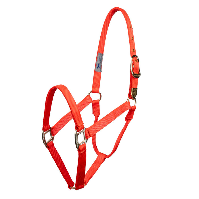 Hamilton 1" Deluxe Nylon Halter Tack - Halters & Leads Hamilton Average Orange