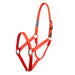 Hamilton 1" Deluxe Nylon Halter Tack - Halters & Leads Hamilton Average Orange