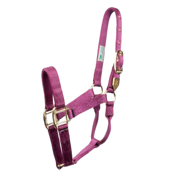 Hamilton 1" Deluxe Nylon Halter Tack - Halters & Leads Hamilton Average Wine