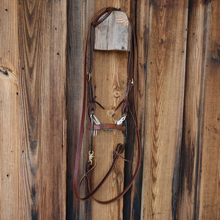 Campbell Leather Bridle Rig w/All New Leather Tack - Rigs Campbell