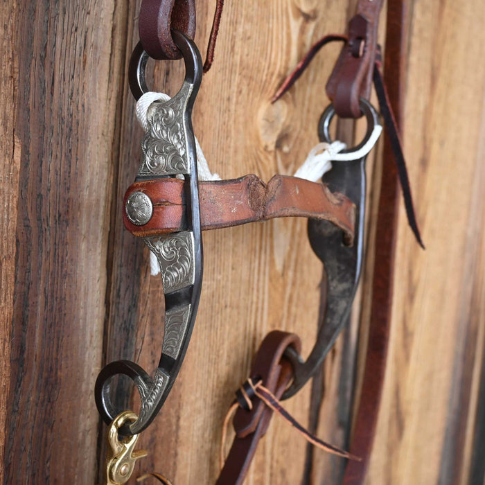 Campbell Leather Bridle Rig w/All New Leather Tack - Rigs Campbell
