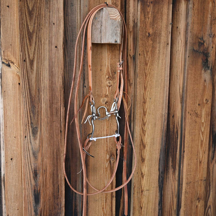 Kerry Kelley 02S 10 Bridle Rig w/All New Leather Tack - Rigs Kerry Kelley