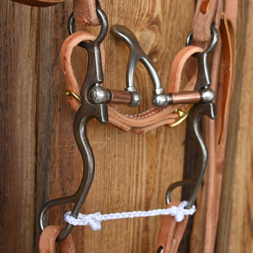 Kerry Kelley 02S Cathedral Bridle Rig w/All New Leather Tack - Rigs Kerry Kelley
