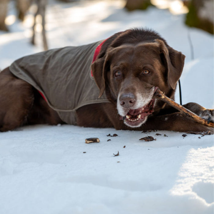 Stormy Kromer Waxed Cotton Dog Jacket