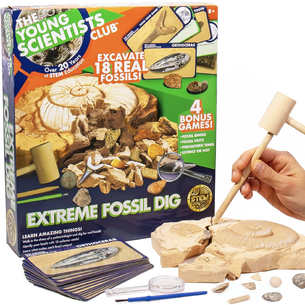 Exploring Fossils, at-Home STEM Kits, Dinosaur Experiments KIDS - Accessories - Toys The Young Scientists Club   