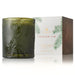 Thymes Frasier Fir Green Glass Candle HOME & GIFTS - Home Decor - Candles + Diffusers Thymes   