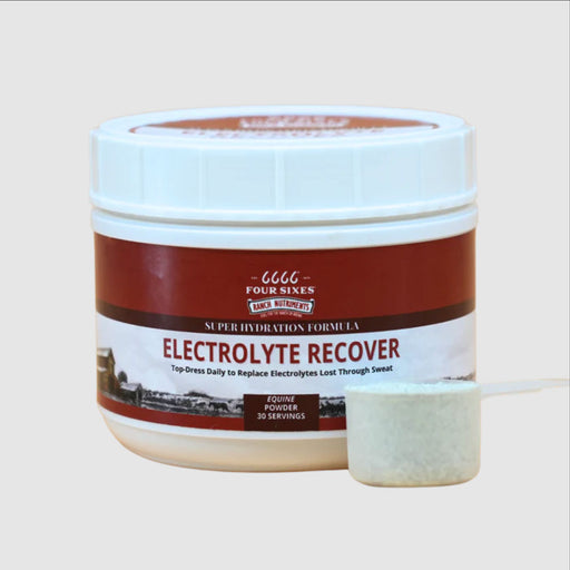 6666 Ranch Nutriments Electrolyte Recover Equine - Supplements 6666 Ranch Nutriments   