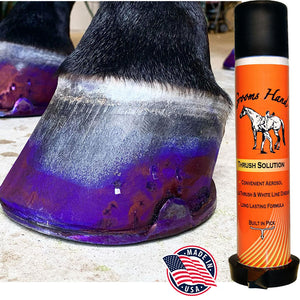 Groom's Hand Thrush Spray Farrier & Hoof Care - Topicals Groom's Hand   