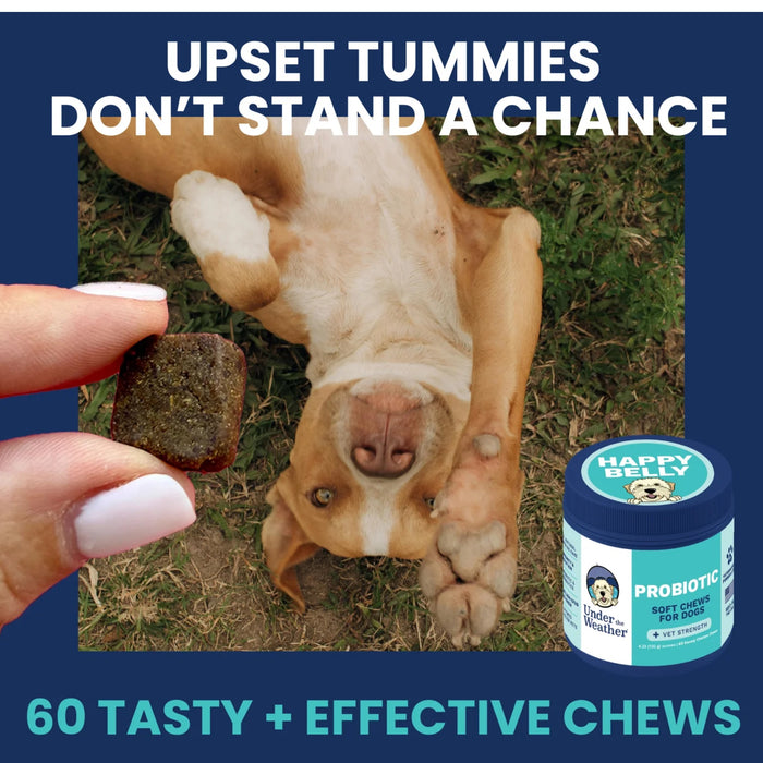 Under the Weather Happy Belly Soft Chew