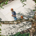 Stihl HT 135 Gasoline Pole Pruner Garden Supplies - Tools & Equipment Stihl Equipment
