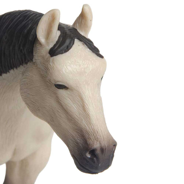 Little Buster Buckskin Quarter Horse