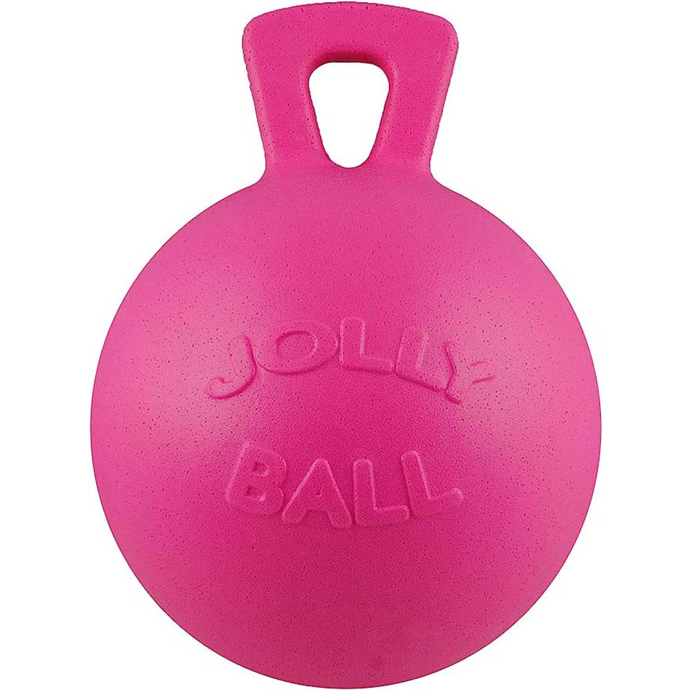 Jolly Ball Equine - Toys & Treats Jolly Ball Pink  