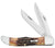 6.5 BoneStag® Folding Hunter with Leather Sheath Knives W.R. Case   