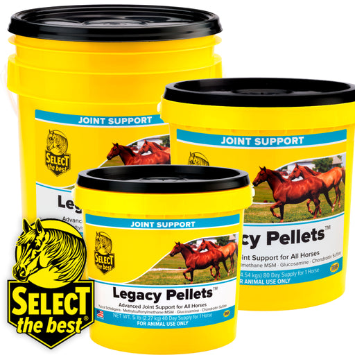 Select The Best Legacy Pellets Equine - Supplements Select the Best