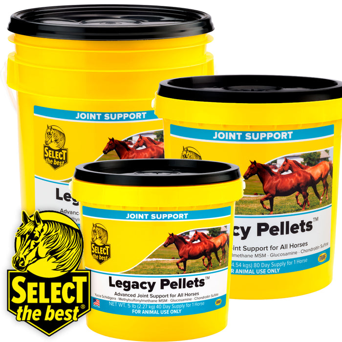 Select The Best Legacy Pellets Equine - Supplements Select the Best