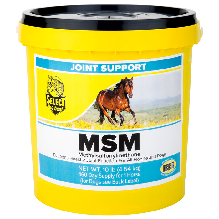 Select The Best MSM Equine - Supplements Select the Best 10lb