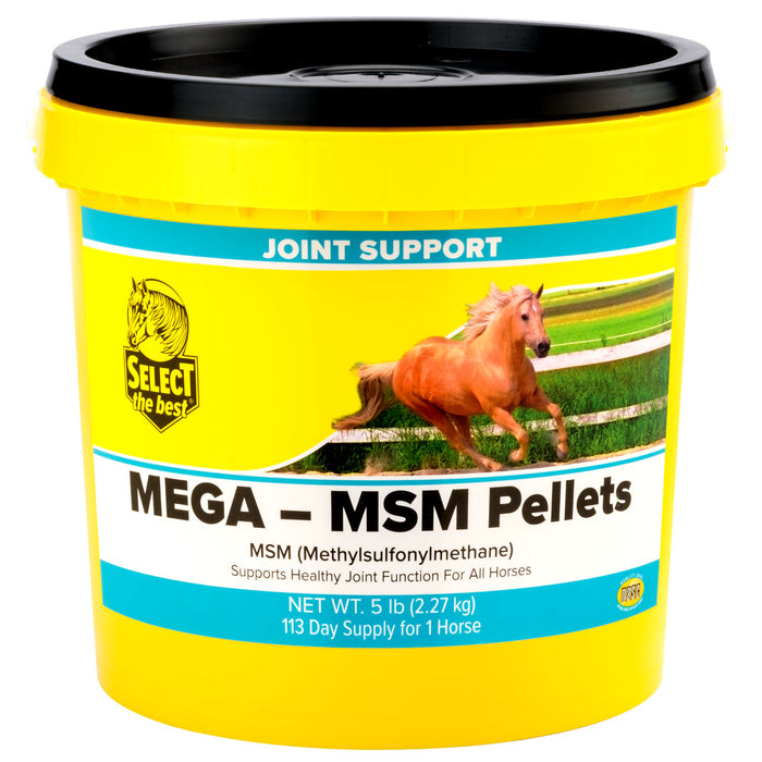 Select The Best Mega MSM Equine - Supplements Select the Best 5lb