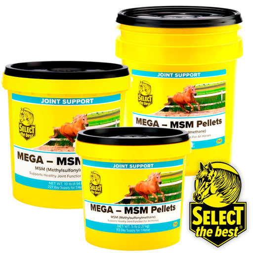 Select The Best Mega MSM Equine - Supplements Select the Best