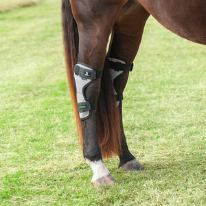 NEW Classic Equine MAGNTX Magnetic Hock Wraps Sale Barn MISC   