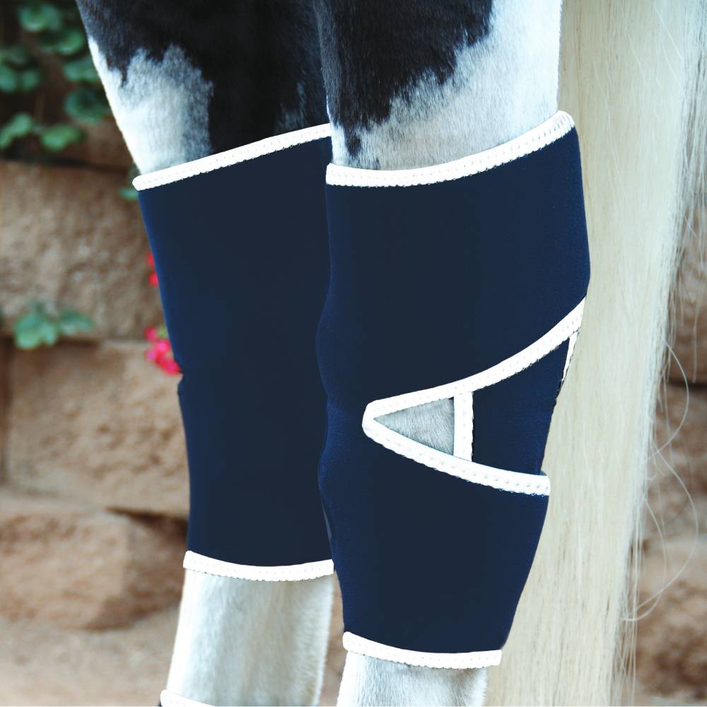 Professional's Choice Magnetic Hock Boot Tack - Leg Protection - Rehab & Travel Professional's Choice   
