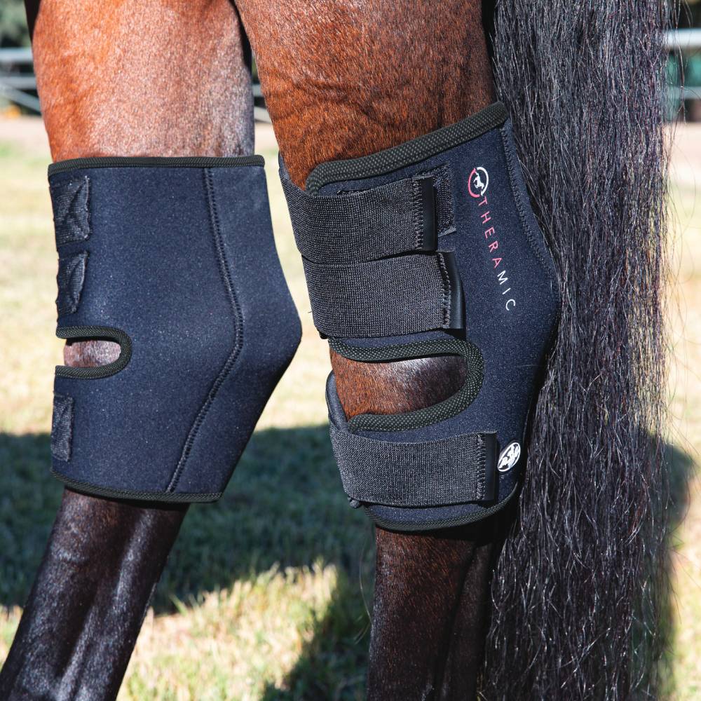 Hock protection for clearance horses