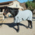 Professional's Choice Theramic Sheet Equine - Therapeutic Professional's Choice Small  